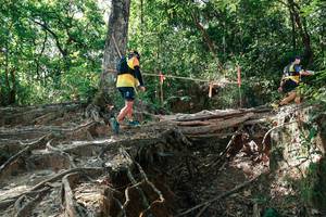 BIB: 
                            <button type="button" onclick="openModal(27799947)" class="btn btn-primary btn-sm float-right btn-popup" data-toggle="modal" data-target=".modal-high-quality">
                        <i class="fas fa-shopping-cart"></i> Add to Cart
                    </button>
                                            <button type="button" onclick="isThisMe(27799947, true)" class="btn btn-success btn-sm float-right btn-popup btn-isme hidden" data-toggle="tooltip" data-placement="bottom" title="นี่คือรูปของคุณใช่ไหม คลิกที่นี่เพื่อเอาเข้าอัลบั้ม">
                        <i class="fas fa-plus"></i> Add to album
                    </button>
                    <button type="button" onclick="isThisMe(27799947, false)" class="btn btn-warning btn-sm float-right btn-popup btn-isnotme hidden">
                        <i class="fas fa-ban"></i> Remove from album
                    </button>